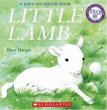 Paperback Little Lamb Book