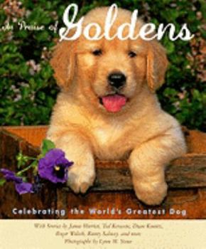 Hardcover In Praise of Goldens Book
