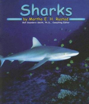 Sharks (Ocean Life) - Book  of the Abdo Kids: Ocean Life