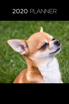 Planner: 2020 diary: Increase productivity, improve time management, reach your goals: Adorable Chihuahua: Modern artistic photography style cover
