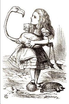 Paperback Microdosing Journal - Wonderland: Track Your Psychedelic Microdosing Experiences Book