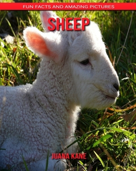 Paperback Sheep: Fun Facts and Amazing Pictures Book