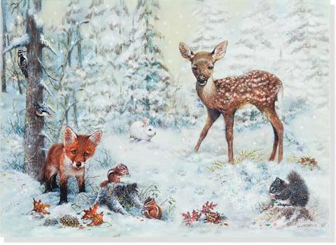 Cards DLX Bx: Snowy Forest Book