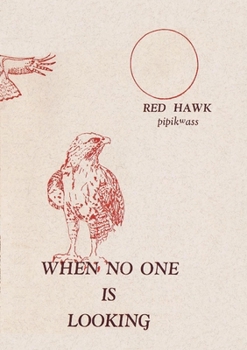 Paperback When No One is Looking Book