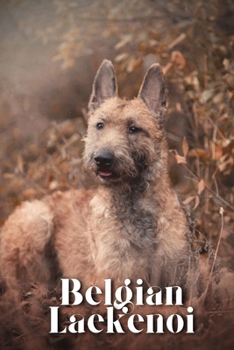 Paperback Belgian Laekenoi: Dog breed overview and guide Book