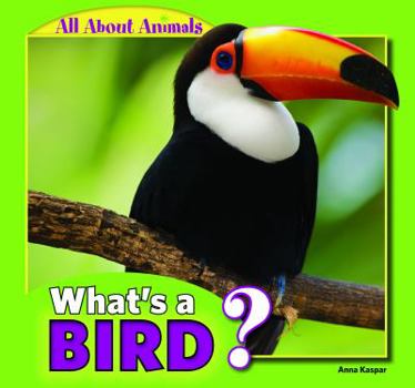 Paperback What's a Bird? Book