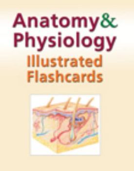 Paperback Anatomy and Physiology Illustrated Flashcards Book