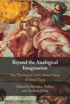 Hardcover Beyond the Analogical Imagination Book