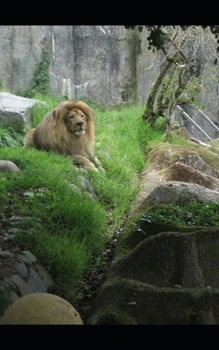 Paperback The Hunter and the Prey Book