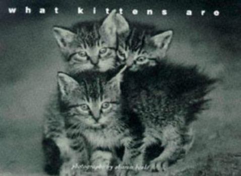 Hardcover What Kittens Are Book