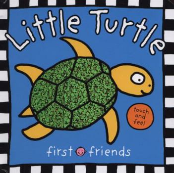 Hardcover Little Turtle. Book