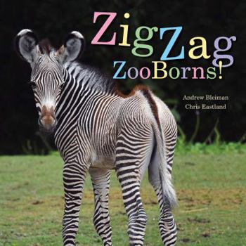 Hardcover Zigzag Zooborns!: Zoo Baby Colors and Patterns Book
