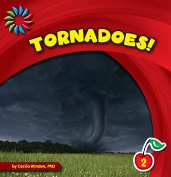 Library Binding Tornadoes! Book
