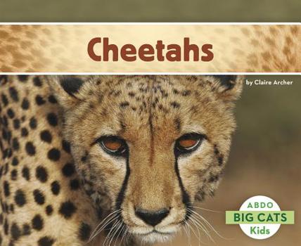 Paperback Cheetahs Book