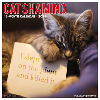 Calendar Cat Shaming 2024 12 X 12 Wall Calendar Book