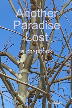 Paperback Another Paradise Lost Book