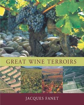 Hardcover Great Wine Terroirs Book