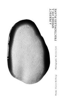 Paperback A Perfect Sphere On A Frictionless Plane Book