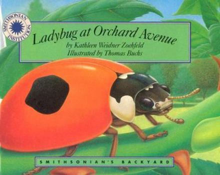 Ladybug at Orchard Avenue (Smithsonian's Backyard) (Smithsonian's Backyard)