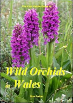 Paperback Wild Orchids in Wales Book