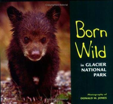 Paperback Born Wild in Glacier National Park Book