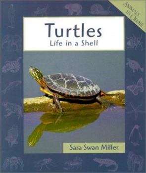 Library Binding Turtles: Life in a Shell Book