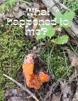 Paperback what happened to me? Book