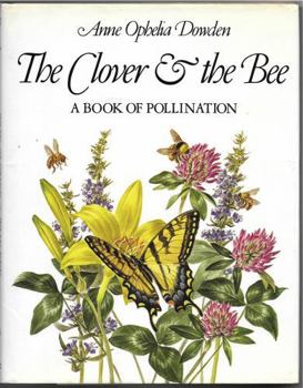 Hardcover Clover & Bee Book