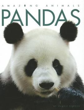 Library Binding Pandas Book