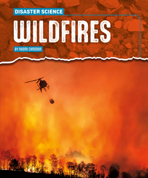 Paperback Wildfires Book