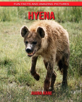 Hyena: Fun Facts and Amazing Pictures