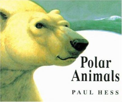 Board book Polar Animals Book