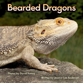 Paperback Bearded Dragons Book
