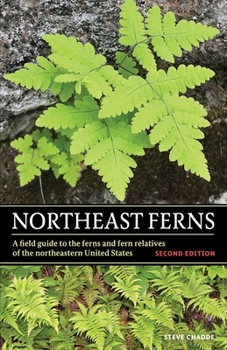 Paperback Northeast Ferns: A Field Guide to the Ferns and Fern Relatives of the Northeastern United States Book