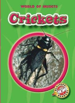 Crickets - Book  of the World of Insects