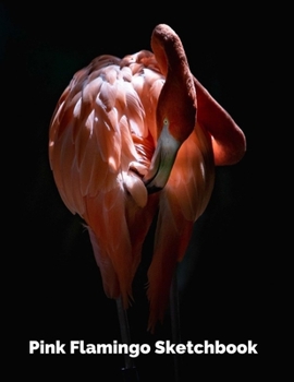 Paperback Pink Flamingo Sketchbook: Sketchbook for Pink Flamingo lovers - Composition Size (8,5"x11"), 100 pages Book