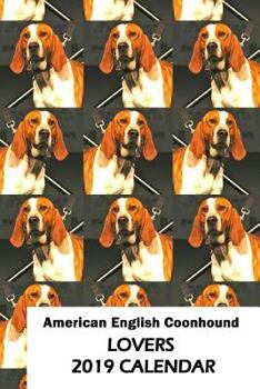 Paperback American English Coonhound Lovers 2019 Calendar Book