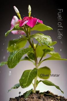 Paperback Fuel Of Life Book