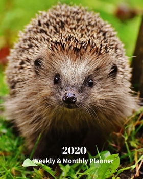 Paperback 2020 Weekly and Monthly Planner: Hedgehog - Monthly Calendar with U.S./UK/ Canadian/Christian/Jewish/Muslim Holidays- Calendar in Review/Notes 8 x 10 Book