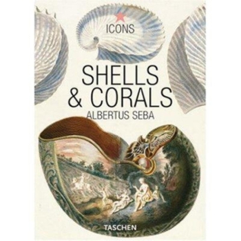Paperback Shells & Corals Book