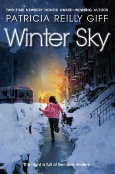 Hardcover Winter Sky Book