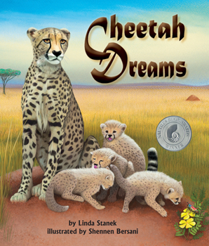 Hardcover Cheetah Dreams Book