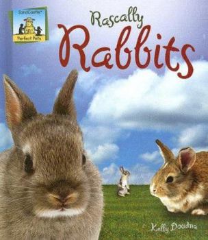 Rascally Rabbits - Book  of the Perfect Pets