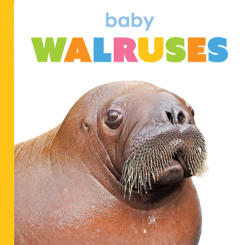Library Binding Baby Walruses Book