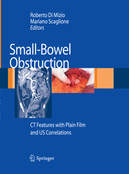 Paperback Small-Bowel Obstruction: CT Features with Plain Film and Us Correlations Book