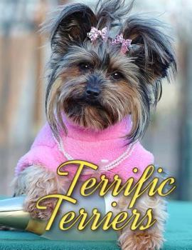 Paperback Terrific Terriers Book