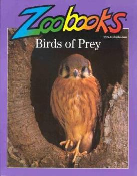 Paperback Birds of Prey Book