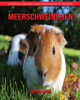 Meerschweinchen: Lustige Fakten und sagenhafte Bilder