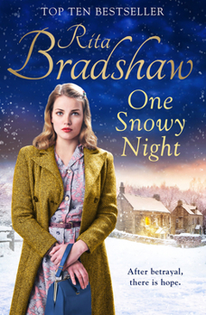 Hardcover One Snowy Night Book