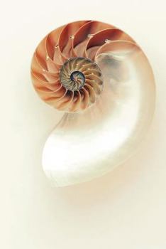 Paperback Nautilus Shell Journal: 150 page lined notebook/diary Book